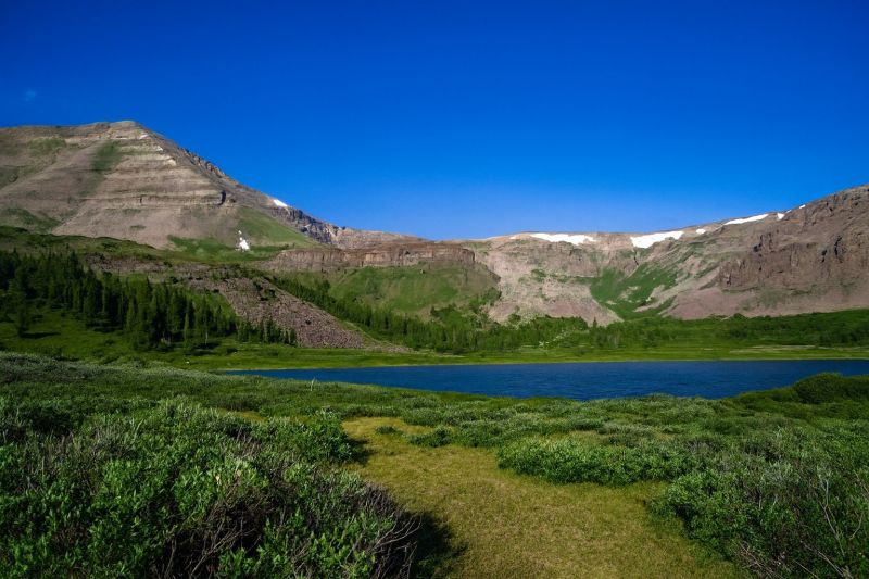 Hero for Home Services Options