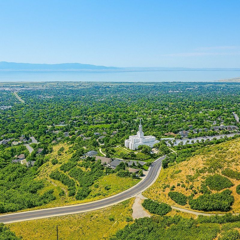 Hero for Home Services Options