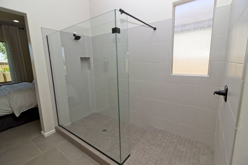 Elegant Walk-in Shower Upgrade